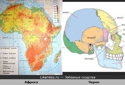Африка похожа на череп