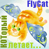 flycat
