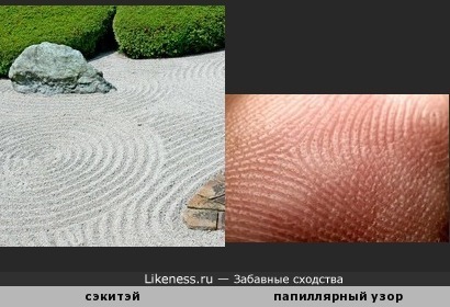 Борозды японского сада «сэкитэй» напоминают папиллярный узор пальца человека