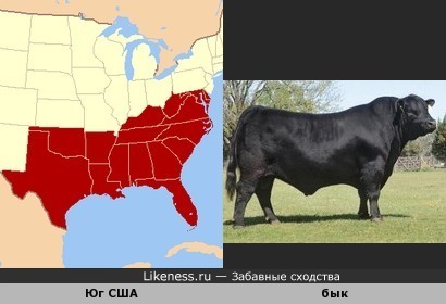 Юг США напоминает быка