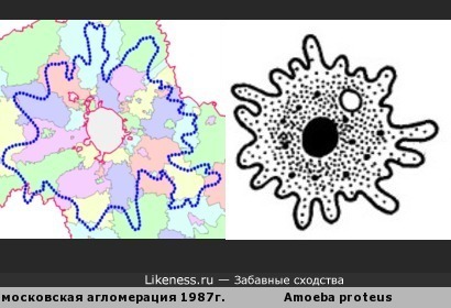Московская агломерация второго порядка (1987 г.) напоминает амёбу