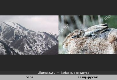Фото горы в Казахстане напомнило зайца