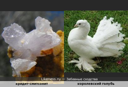 Минерал кридит-смитсонит напоминает королевского голубя
