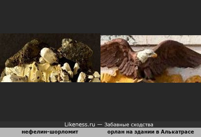 Минерал нефелин-шорломит напомнил белоголового орлана с государственной символики США
