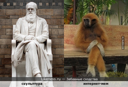 &quot;Сплошной атавизм&quot;: скульптура Чарльза Дарвина в лондонском Музее естествознания напомнила мем с сидящей обезьяной