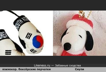 Южнокорейские боксёрские перчатки напоминают Снупи