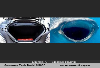 Багажник автомобиля Tesla Model S P90D напоминает пасть китовой акулы