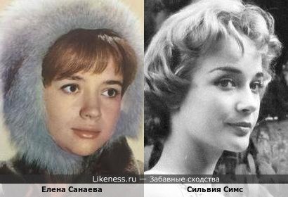 Елена Санаева похожа на Сильвию Симс