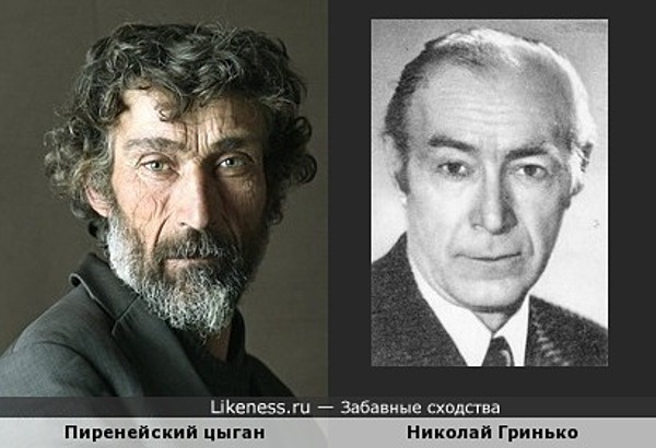 Пиренейский цыган похож на Николая Гринько Пиренейский цыган похож на Николая Гринько