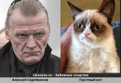 Алексей Серебряков похож на Грустного Кота