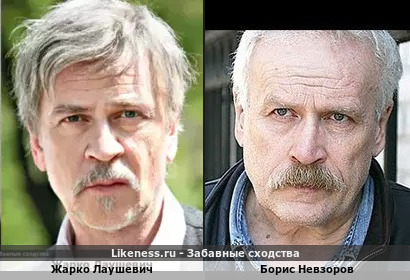 Жарко Лаушевич похож на Бориса Невзорова