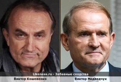 Виктор Кошевенко похож на Виктора Медведчука