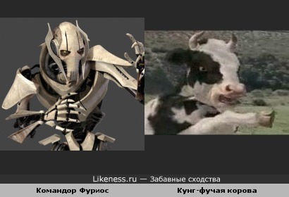 Командор Фуриос и кунг-фучая корова