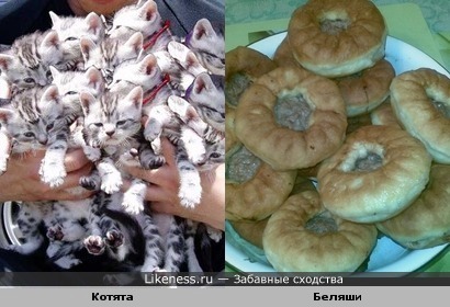 Беляши с рынка напоминают о котятах ))