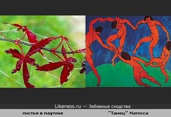 Листья в паутине похожи на картину Анри Матисса "Танец" Листья в паутине похожи на картину Анри Матисса "Танец"