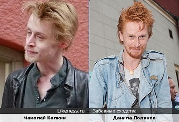 Маколей Калкин и Данила Поляков похожи Маколей Калкин и Данила Поляков похожи