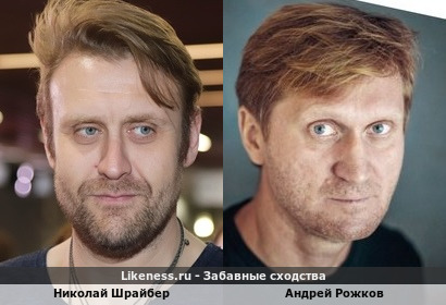 Николай Шрайбер похож на Андрея Рожкова