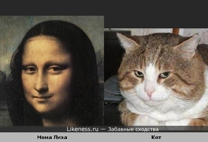 Мона лиза и кот