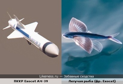 Лингвистический пост: противокорабельная крылатая ракета &quot;Экзосет&quot; и летучая рыба (фр. Exocet)