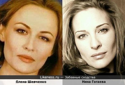 Елена Шевченко похожа на Нину Гогаеву