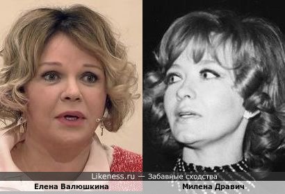 Елена Валюшкина похожа на Милену Дравич