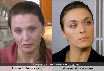 Елена Войновская похожа на Марину Могилевскую