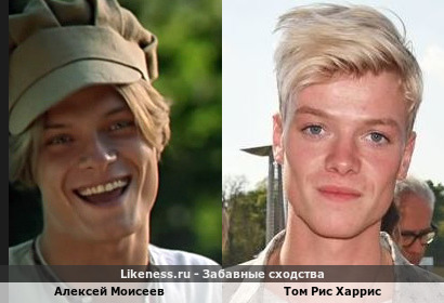 Алексей Моисеев похож на Тома Риса Харриса (помоложе)
