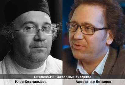 Илья Кормильцев похож на Александра Демидова