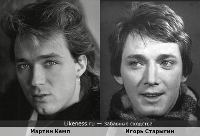 Мартин Кемп похож на Игоря Старыгина
