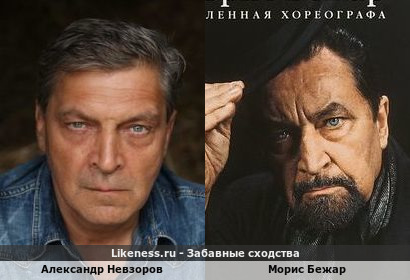 Александр Невзоров похож на Мориса Бежара