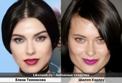 Елена Темникова похожа на Шалома Харлоу