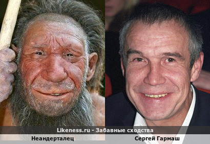 Неандерталец напоминает Сергея Гармаша