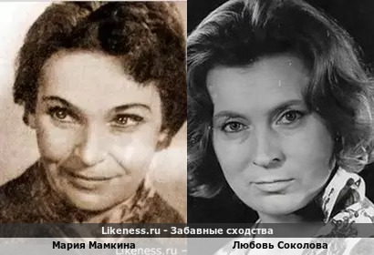 Мария Мамкина похожа на Любовь Соколову