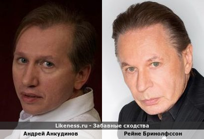 Андрей Анкудинов похож на Рейне Бринолфссона