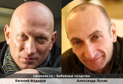 Евгений Фёдоров похож на Александра Лухина
