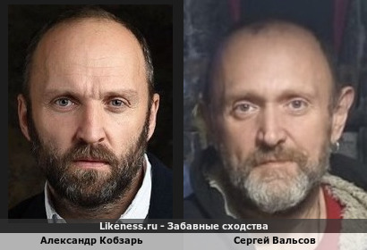 Александр Кобзарь похож на Сергея Вальсова