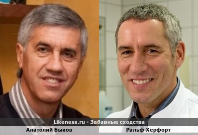 Анатолий Быков похож на Ральфа Херфорта