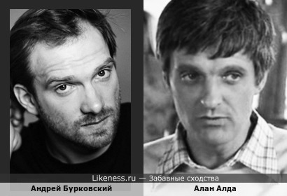Актёр Андрей Бурковский иногда напоминает молодого Алана Алда (настоящее имя - Альфонсо Джозеф Д’Абруццо)