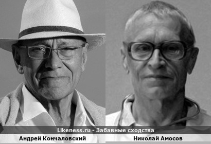 Андрей Кончаловский похож и Академик АН СССР Николай Михайлович Амосов
