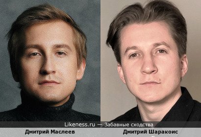 Дмитрий Маслеев похож на Дмитрия Шаракоиса