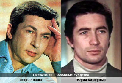 Игорь Кваша похож на Юрия Каморного