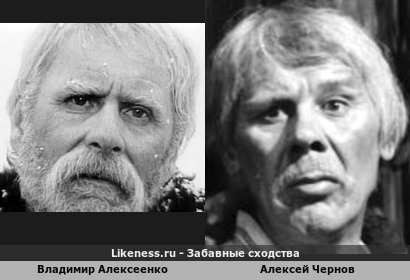 Владимир Алексеенко похож на Алексея Чернова