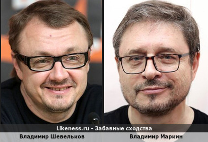Владимир Шевельков похож на Владимира Маркина