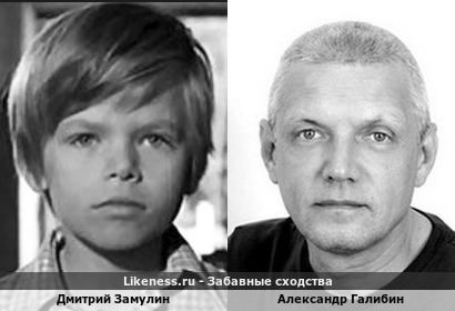Дмитрий Замулин похож на Александра Галибина