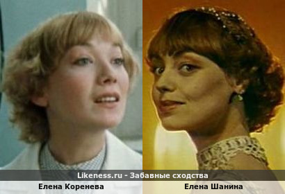 Елена Коренева похожа на Елену Шанину