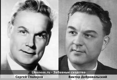 Сергей Столяров похож на Виктора Добровольского