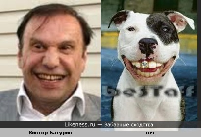 Виктор Батурин и пёс
