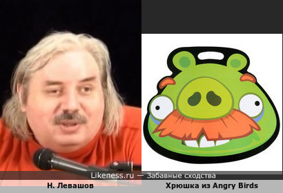 Николай Левашов похож на свинку из Angry Birds