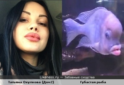 Татьяна Охулкова напоминает рыбу с губами
