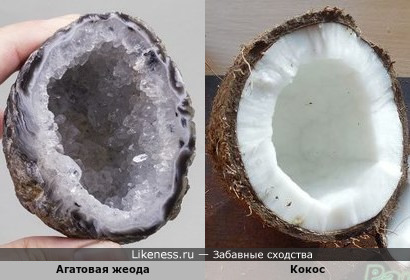 Агатовый кокос